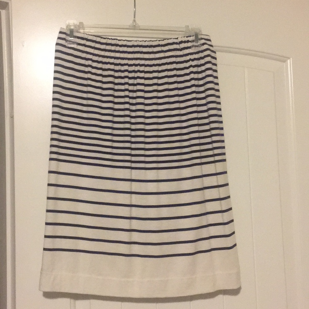 Ann Taylor skirt